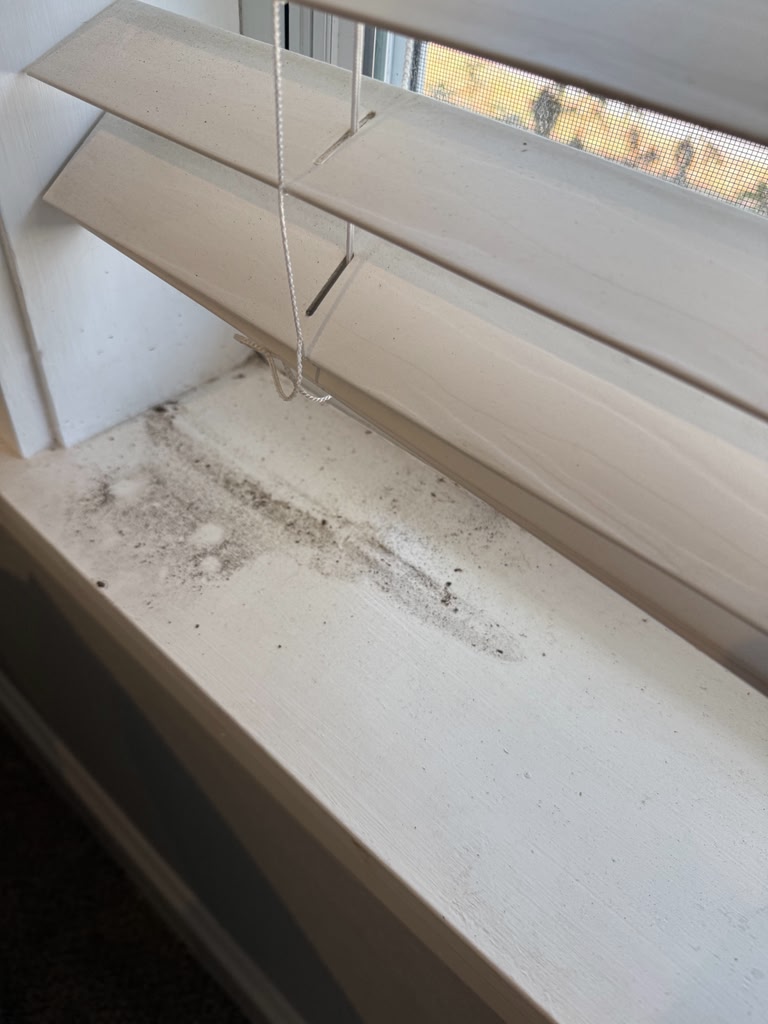 Window Sill before cleaning