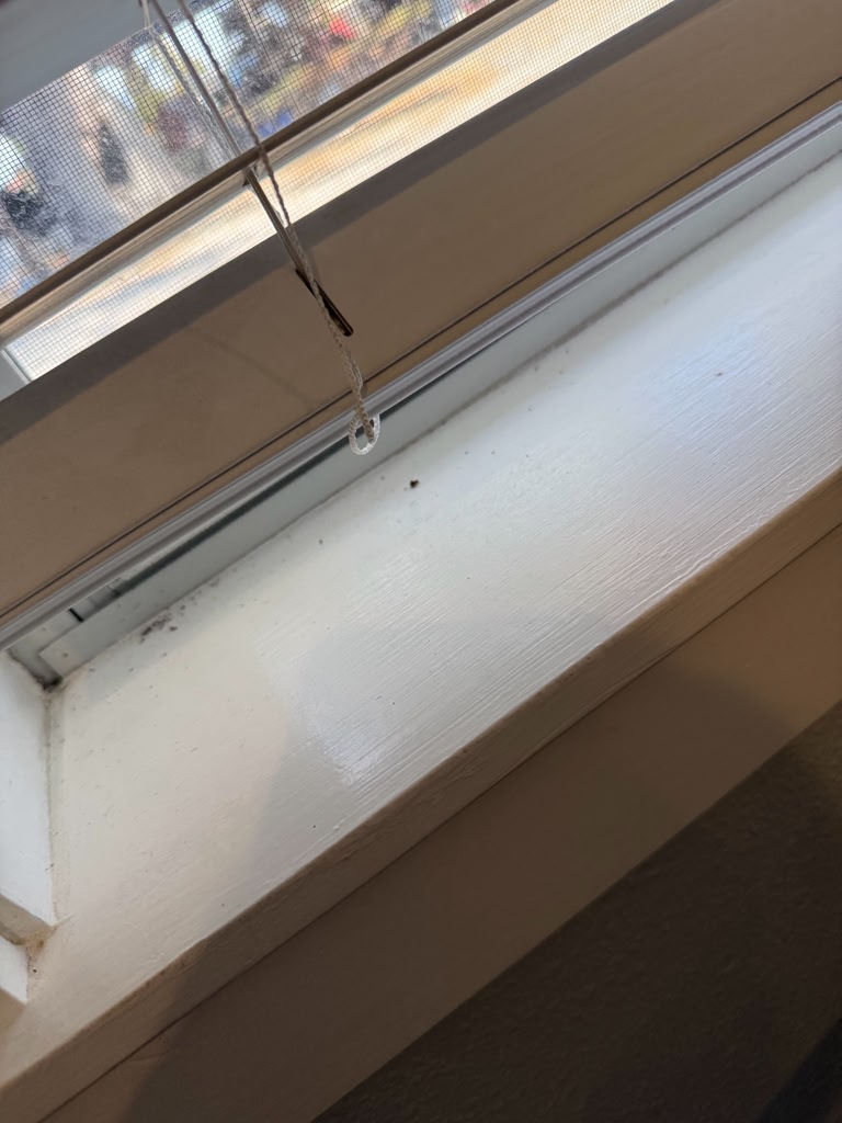 Window Sill after cleaning